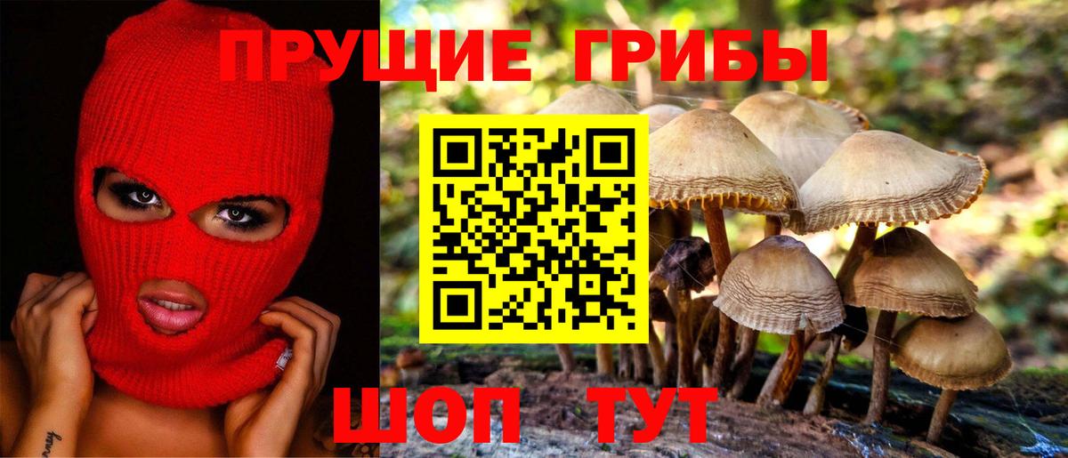 Владикавказ  Псилоцибиновые грибы ЛСД  Вход с VPN 